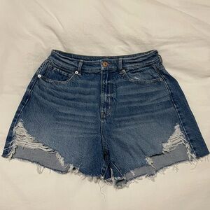 American Eagle Mom Short Size 10